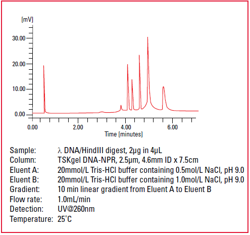 6017661b49c77.png 111.png