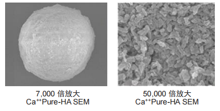 638852ebd5537.png 222.png